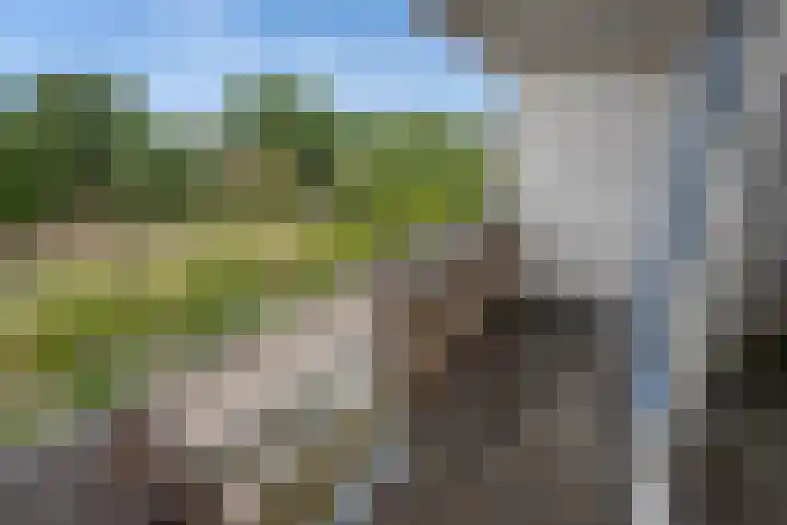 Groene Zoom 6 Delft thumbnail 38