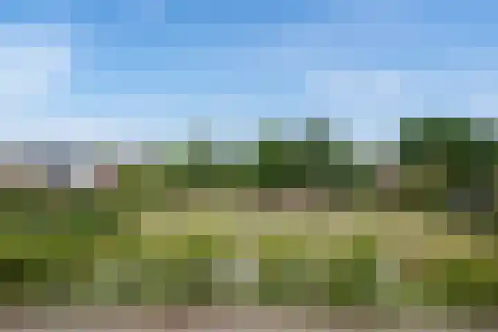 Groene Zoom 6 Delft thumbnail 39