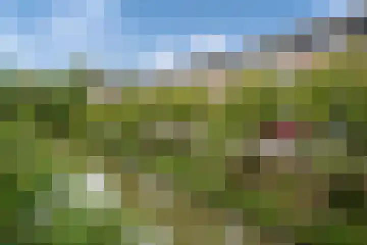 Groene Zoom 6 Delft thumbnail 40
