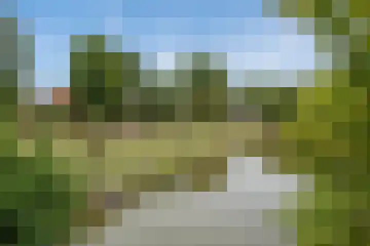 Groene Zoom 6 Delft thumbnail 42