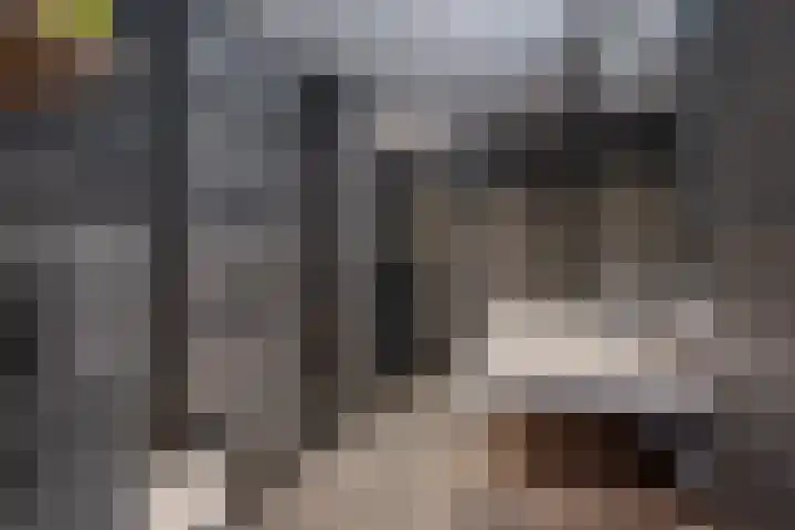 Groene Zoom 6 Delft thumbnail 5