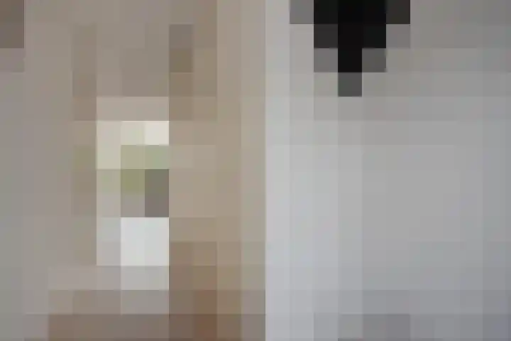 Groene Zoom 6 Delft thumbnail 6