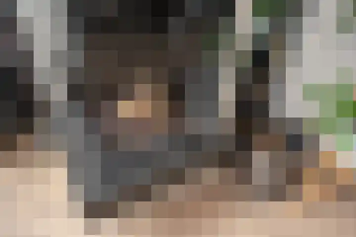 Groene Zoom 6 Delft thumbnail 8