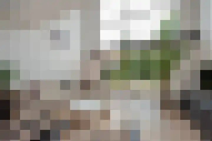 Groene Zoom 6 Delft thumbnail 9