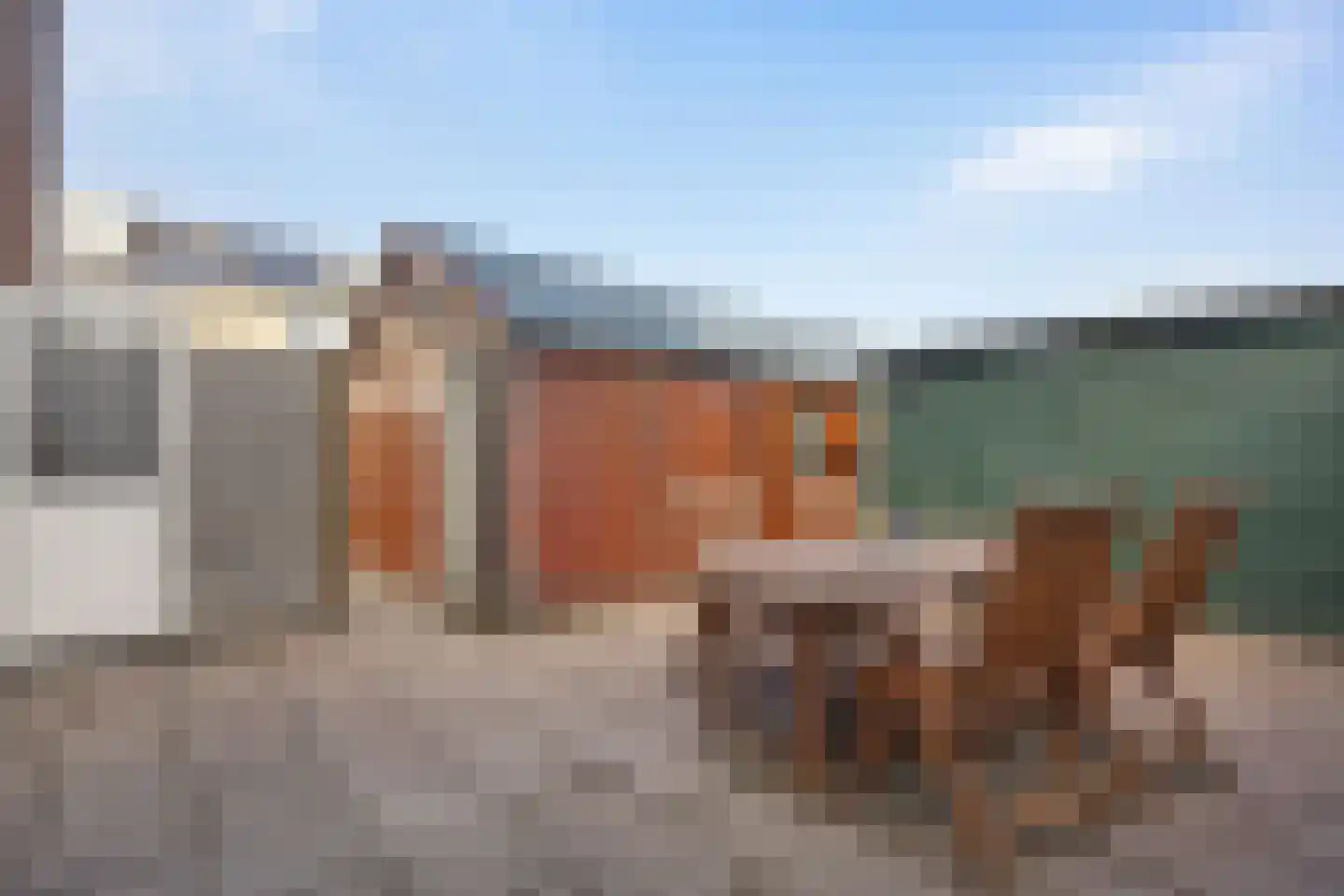 Groene Zoom 61 Ten Boer thumbnail 13