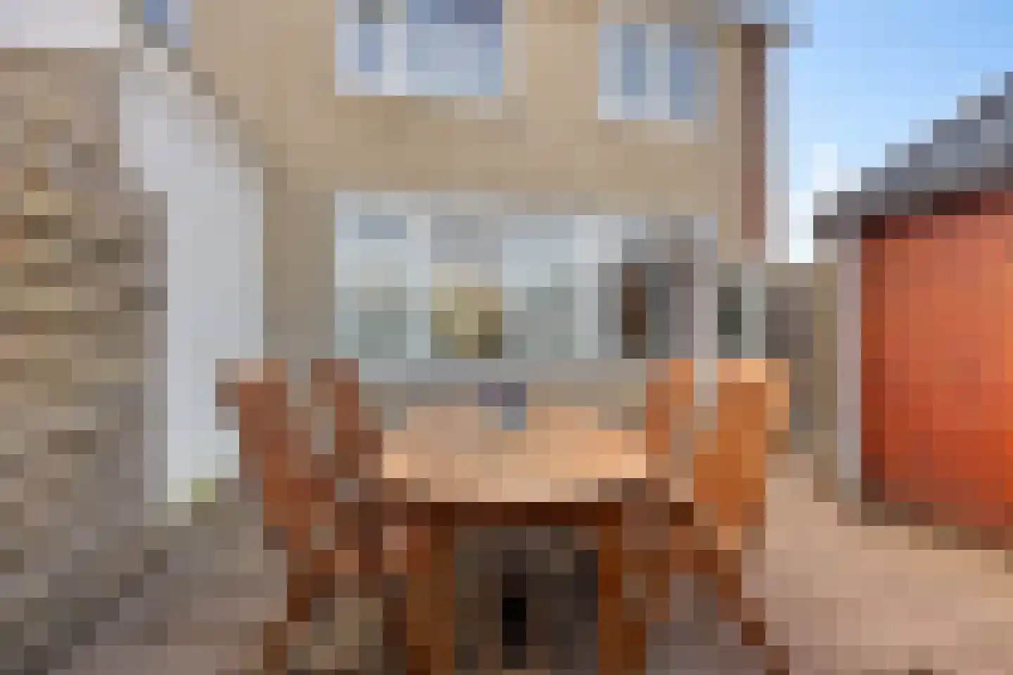 Groene Zoom 61 Ten Boer thumbnail 14