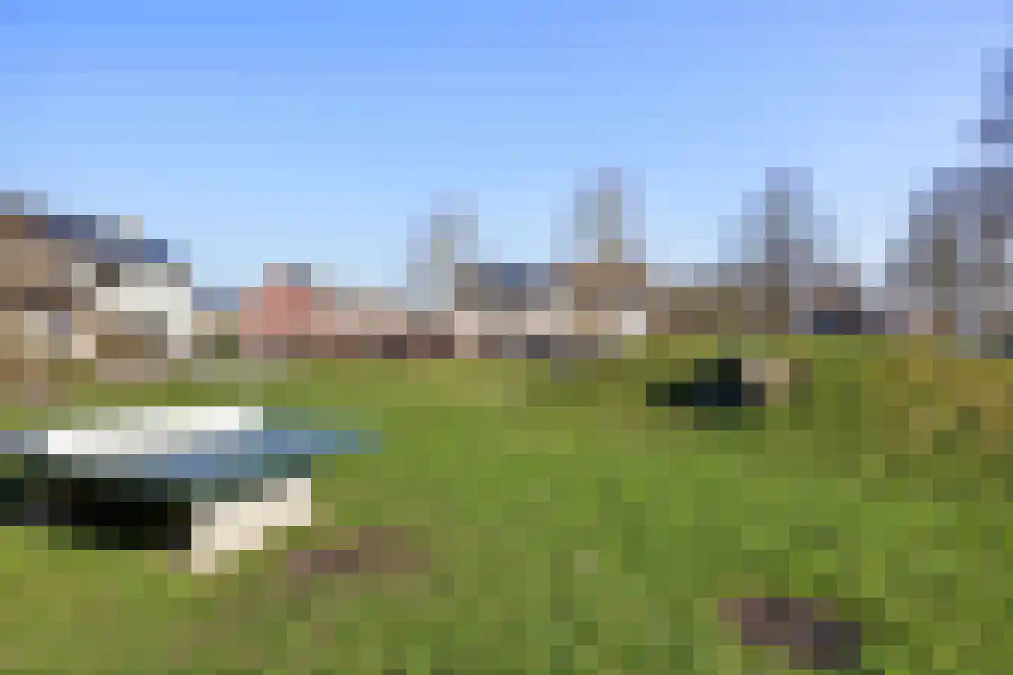 Groene Zoom 61 Ten Boer thumbnail 5