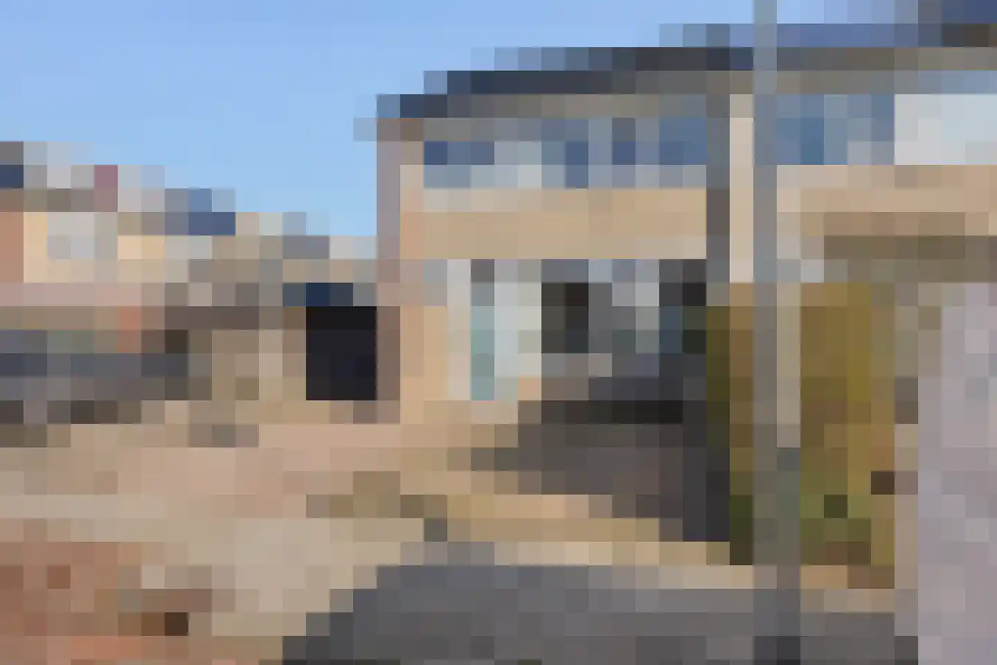 Groene Zoom 61 Ten Boer thumbnail 8