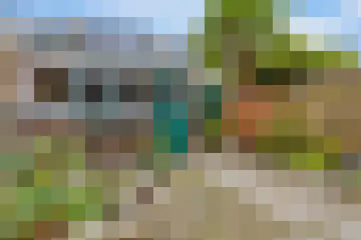 Groene Zoom 65 Bodegraven thumbnail 17