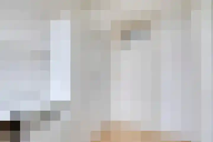 Groene Zoom 65 Bodegraven thumbnail 25