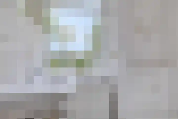 Groene Zoom 65 Bodegraven thumbnail 26