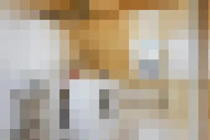 Groene Zoom 65 Bodegraven thumbnail 28