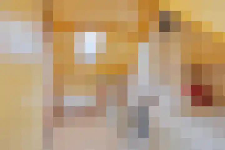 Groene Zoom 65 Bodegraven thumbnail 29