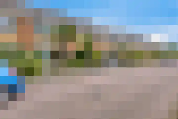 Groene Zoom 65 Bodegraven thumbnail 32