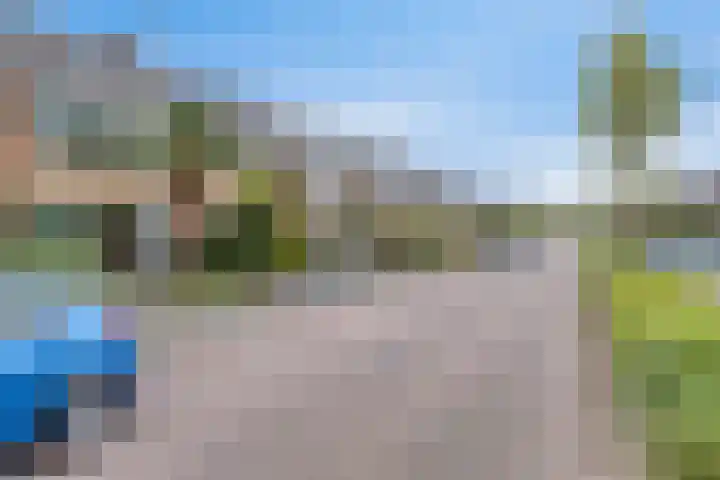 Groene Zoom 65 Bodegraven thumbnail 33