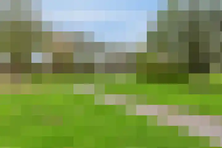 Groene Zoom 65 Bodegraven thumbnail 34