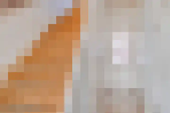 Groene Zoom 65 Bodegraven thumbnail 4