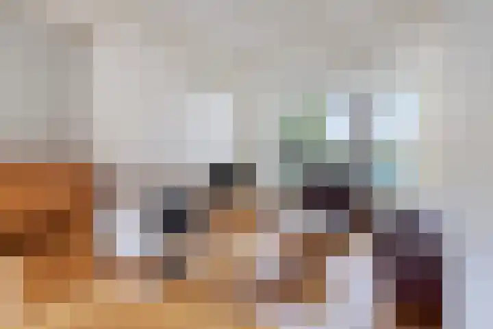 Groene Zoom 65 Bodegraven thumbnail 7
