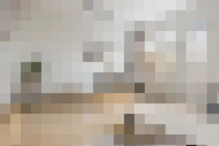 Groene Zoom 90 Ten Boer thumbnail 15