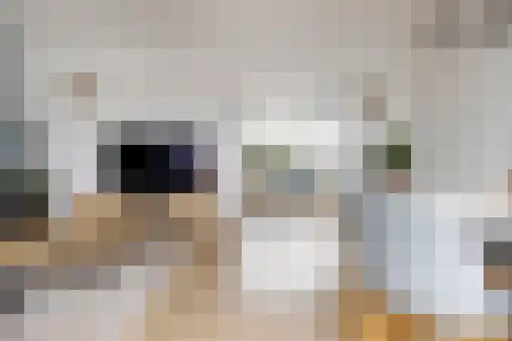 Groene Zoom 90 Ten Boer thumbnail 17