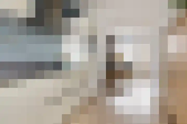 Groene Zoom 90 Ten Boer thumbnail 20