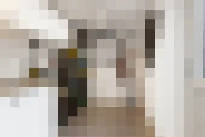 Groene Zoom 90 Ten Boer thumbnail 22
