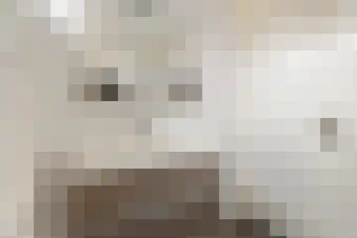 Groene Zoom 90 Ten Boer thumbnail 25