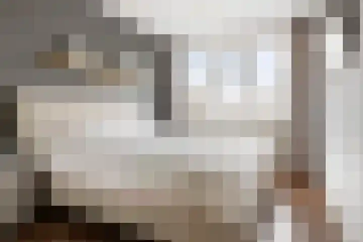 Groene Zoom 90 Ten Boer thumbnail 29