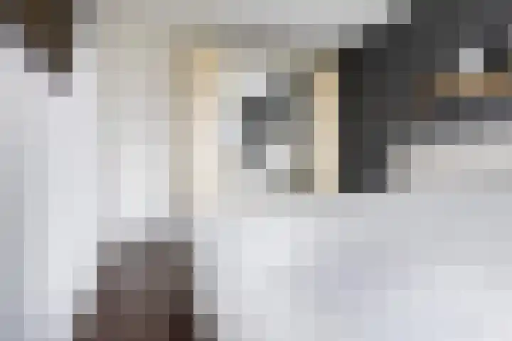 Groene Zoom 90 Ten Boer thumbnail 30