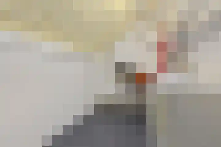Groene Zoom 90 Ten Boer thumbnail 35