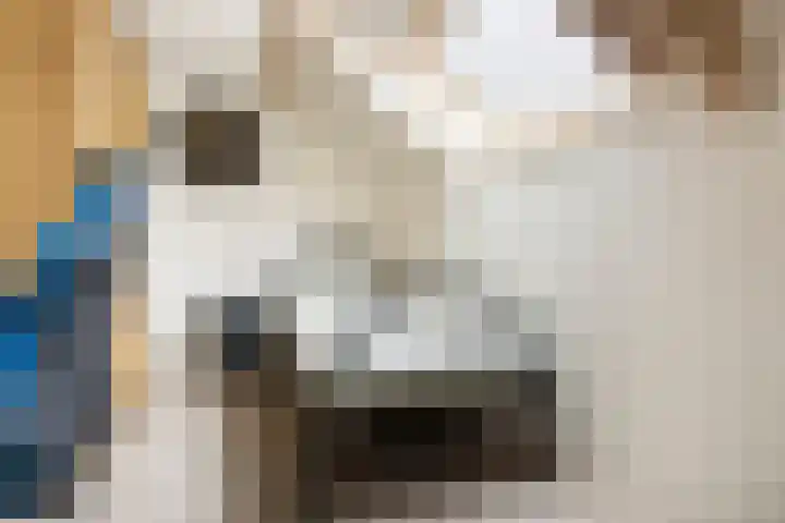 Groene Zoom 90 Ten Boer thumbnail 36