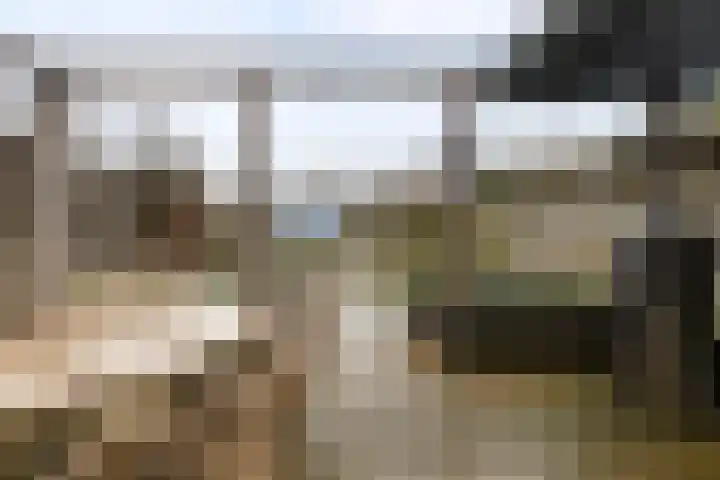 Groene Zoom 90 Ten Boer thumbnail 38