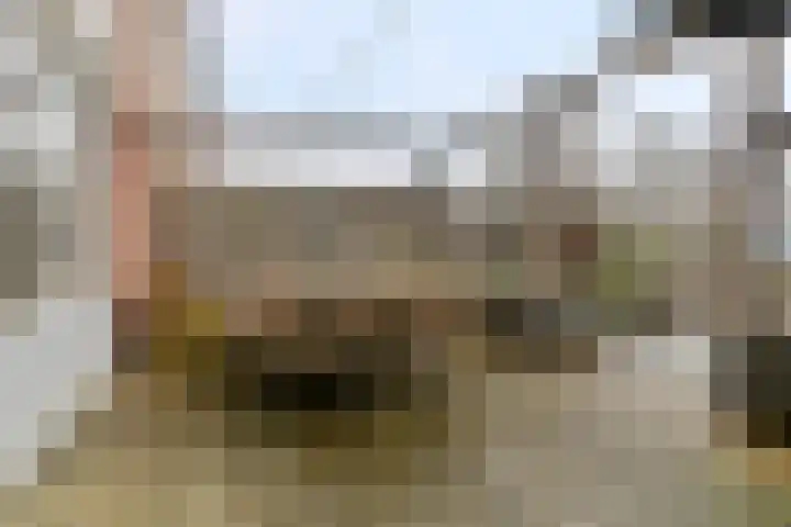 Groene Zoom 90 Ten Boer thumbnail 39