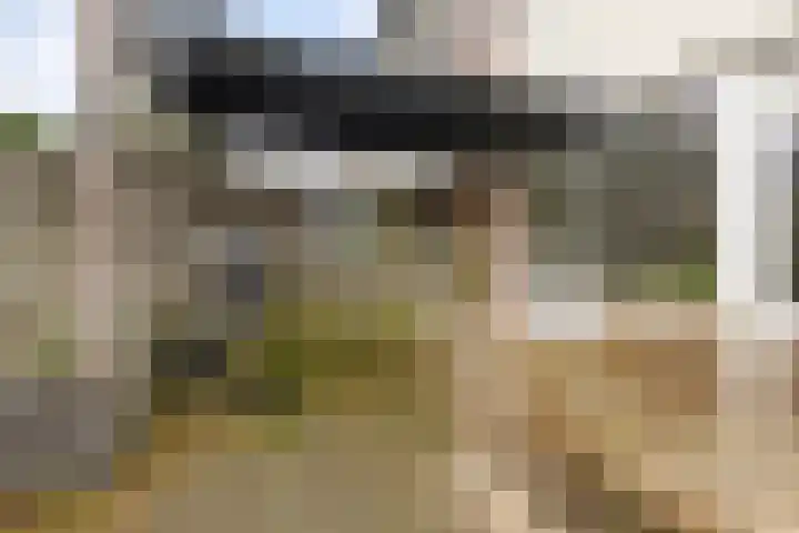 Groene Zoom 90 Ten Boer thumbnail 40