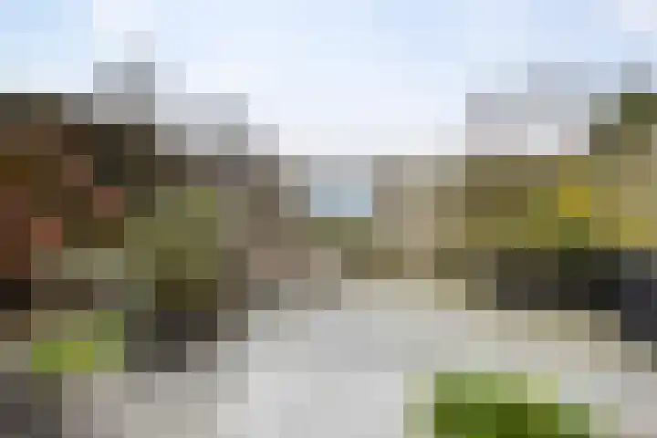 Groene Zoom 90 Ten Boer thumbnail 41