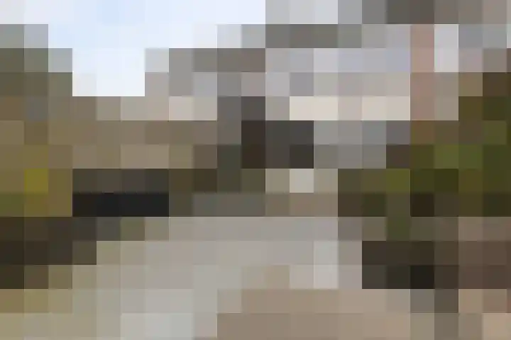 Groene Zoom 90 Ten Boer thumbnail 42