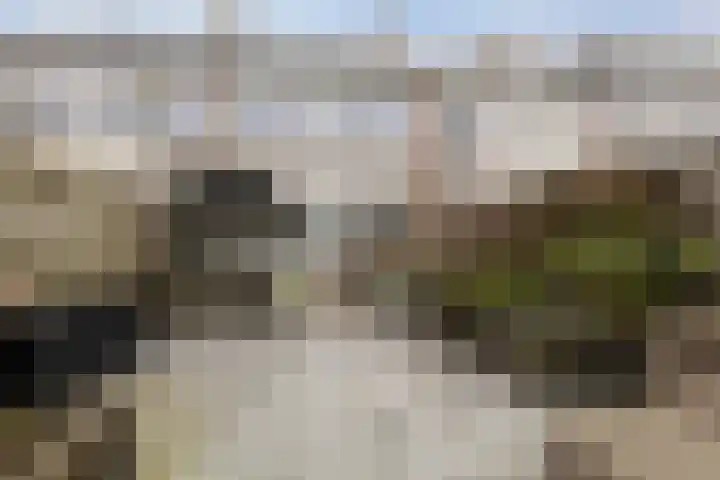 Groene Zoom 90 Ten Boer thumbnail 43