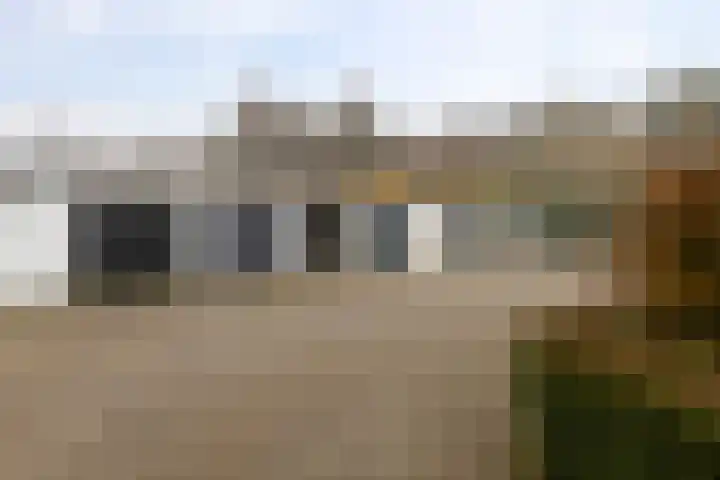 Groene Zoom 90 Ten Boer thumbnail 44