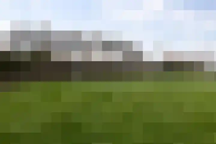 Groene Zoom 90 Ten Boer thumbnail 45