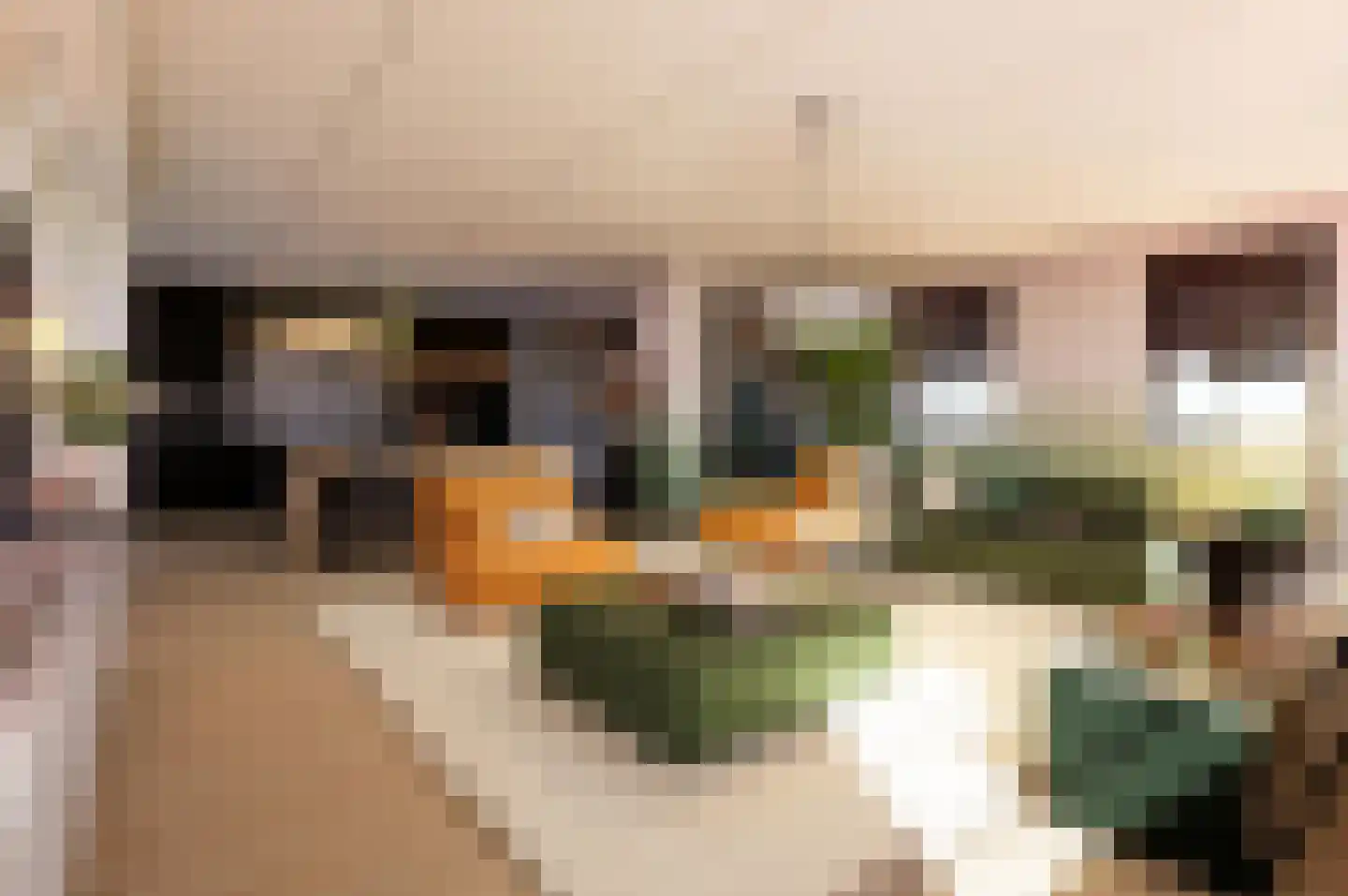 Groenedaal 10 Kloetinge thumbnail 8