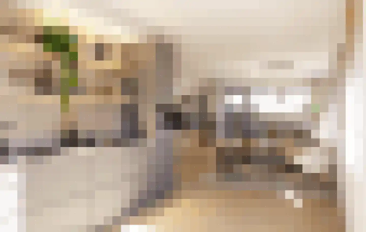 Groenedaal 10 Kloetinge thumbnail 9