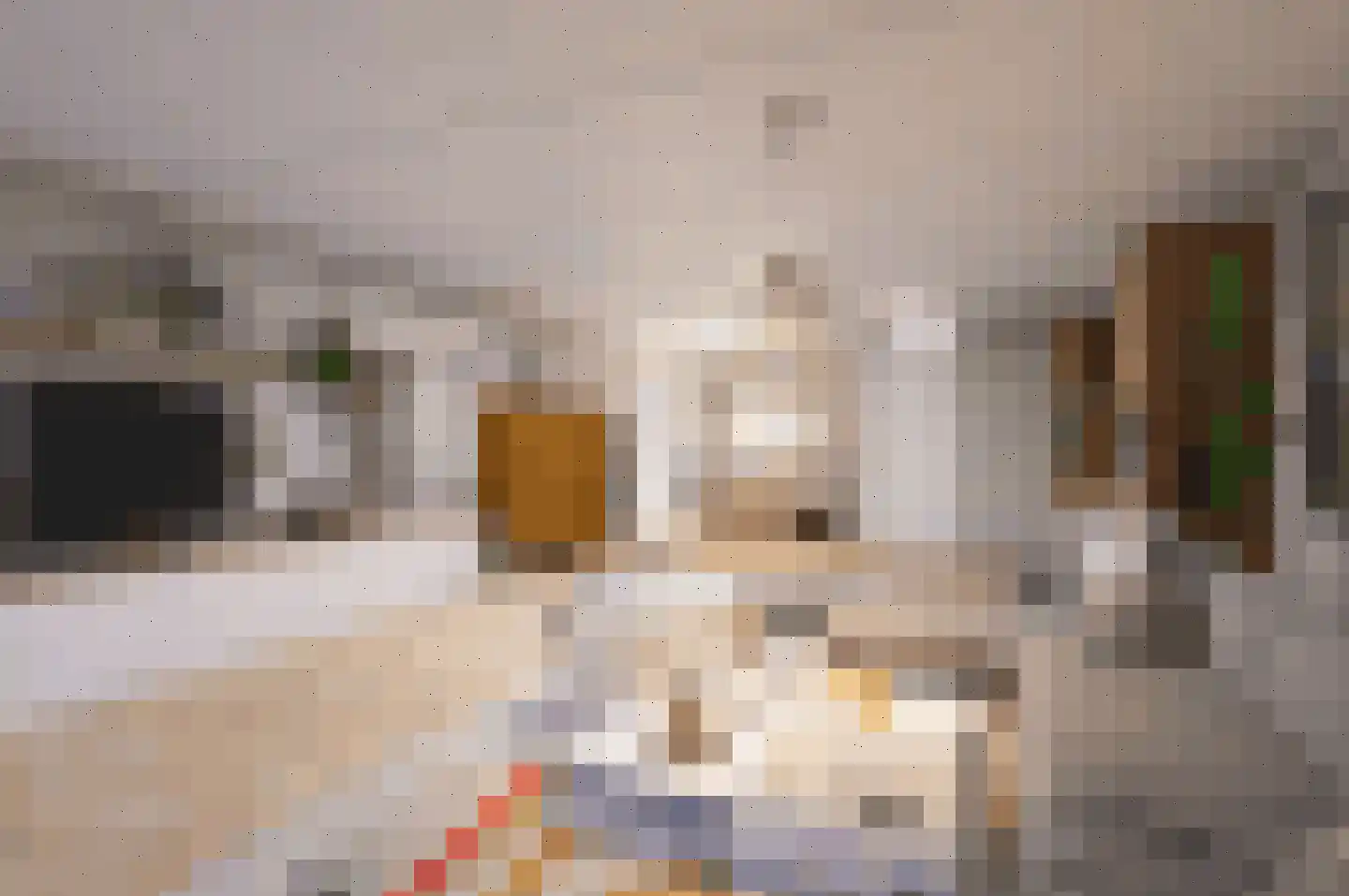 Groenedaal 12 Kloetinge thumbnail 8