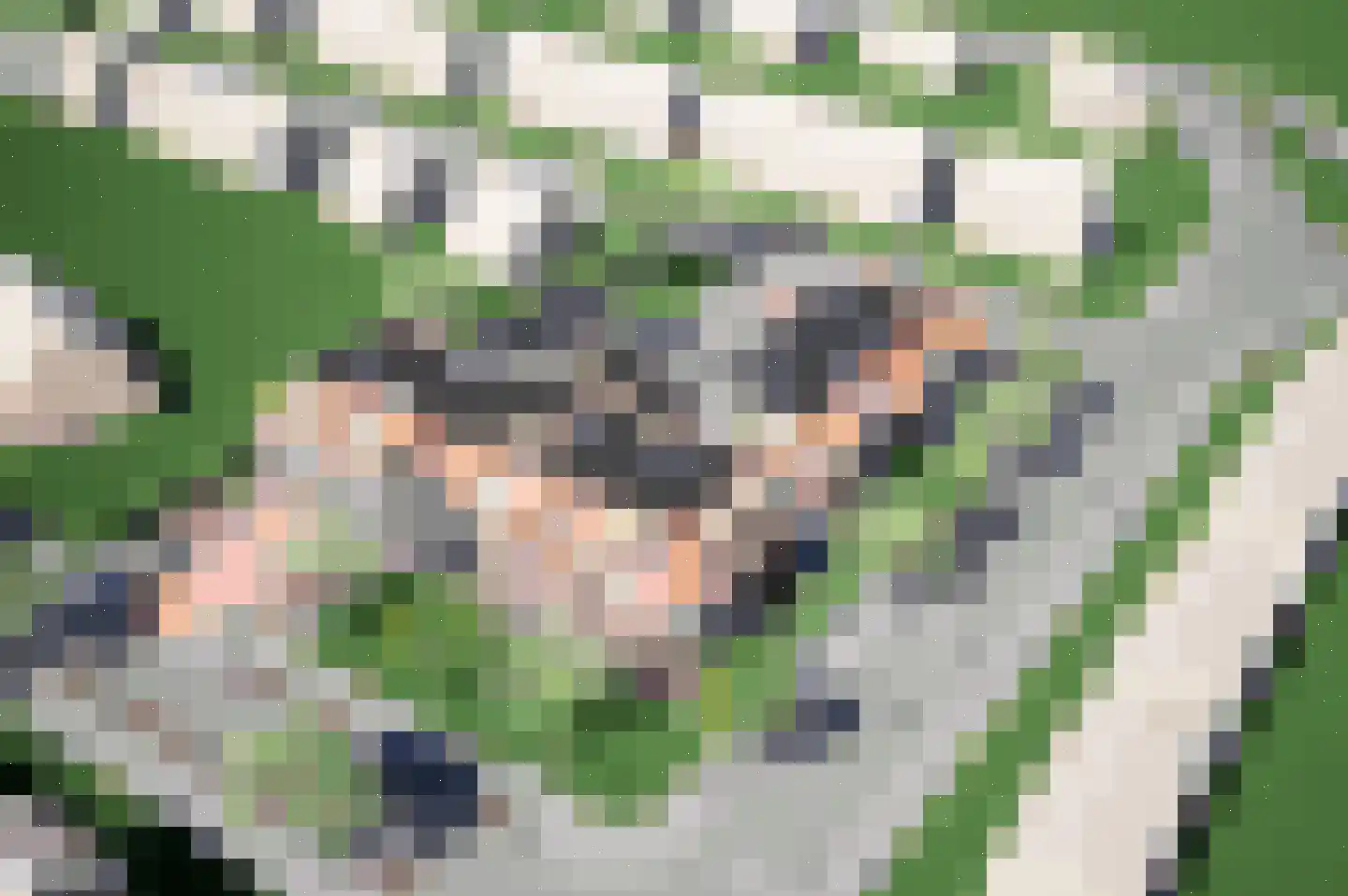 Groenedaal 5 Kloetinge thumbnail 7