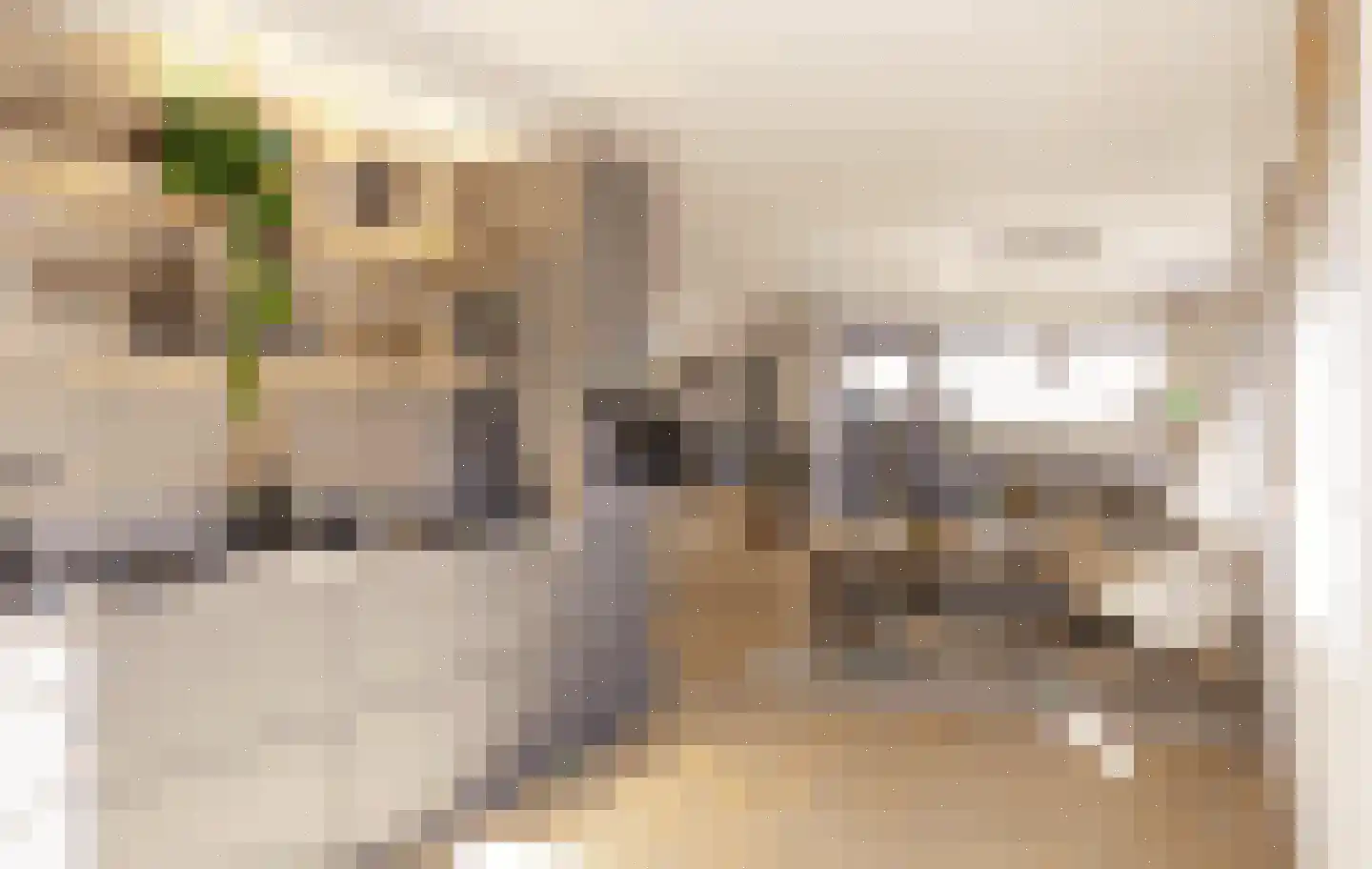 Groenedaal 8 Kloetinge thumbnail 21