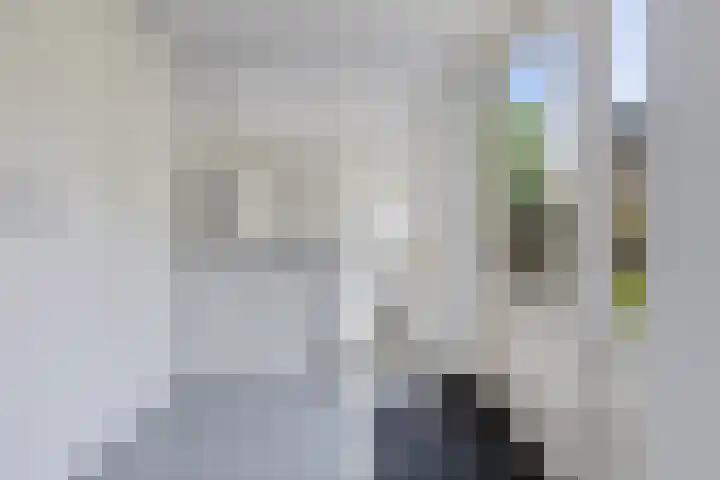 Groenedijk 12 Sneek thumbnail 16