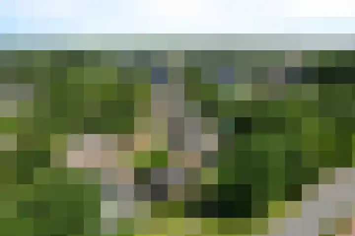 Groenedijk 12 Sneek thumbnail 38