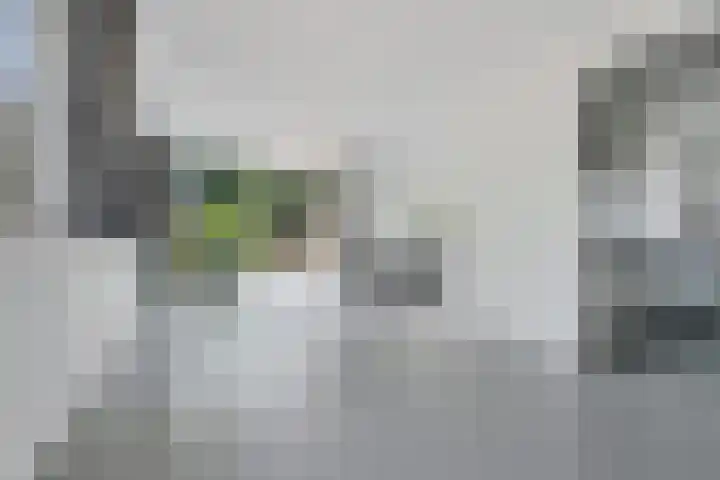 Groenedijk 12 Sneek thumbnail 4