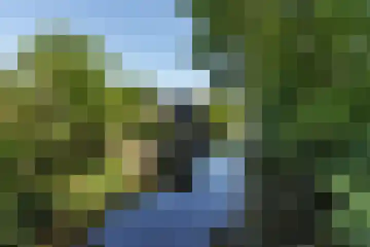 Groenedijk 12 Sneek thumbnail 41