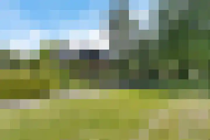 Groenedijk 12 Sneek thumbnail 42