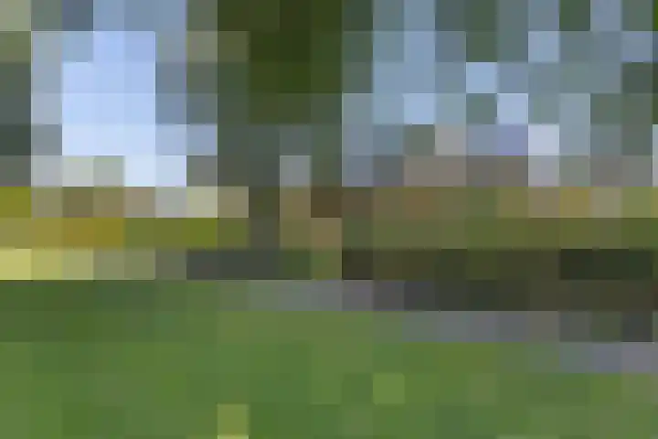 Groenedijk 12 Sneek thumbnail 43
